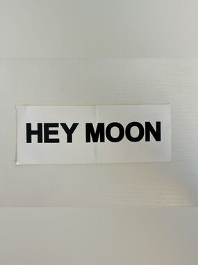 HEY MOON Panic! At The Disco - Pretty Odd Sticker - circa 2008
